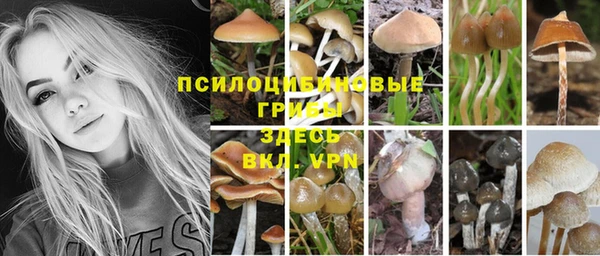 дживик Балабаново