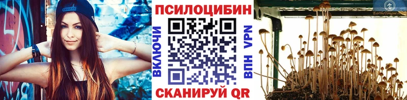 Галлюциногенные грибы Cubensis  ОМГ ОМГ ТОР  Североуральск 